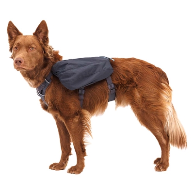 Ruffwear Front Range Dog Day Pack Rygsæk Til Hunden Basalt Grey